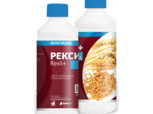 Рэксил ГОЛД +
