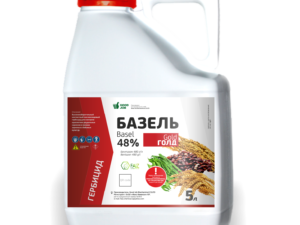 Базель В.Р