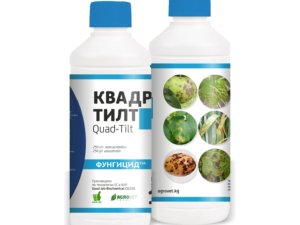 Квадрио Тилт
